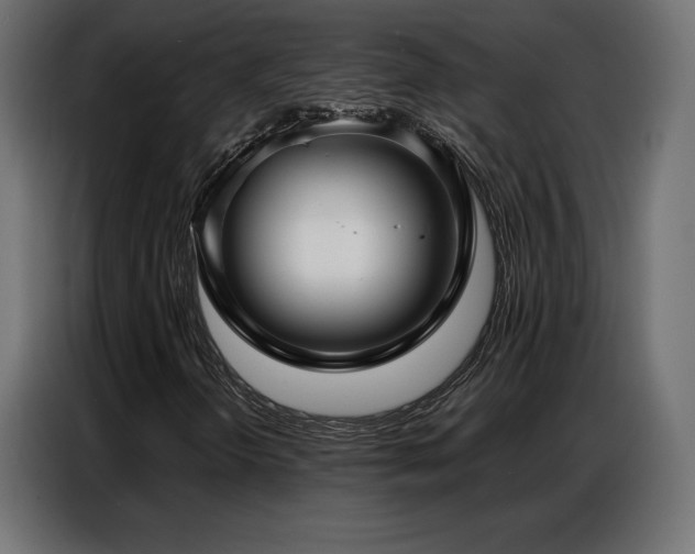 X0000086981298200704161441