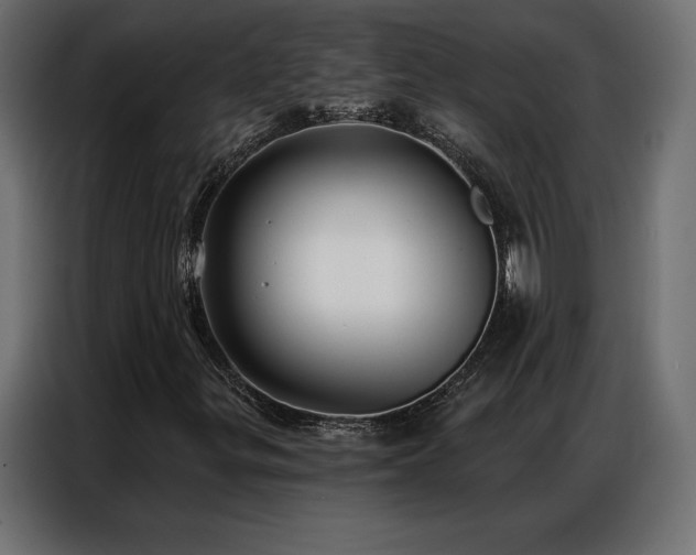 X0000086981299200704161441