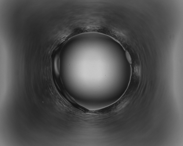 X0000086981300200704161441