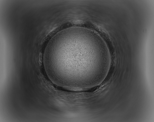 X0000086981301200704161441