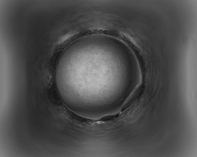 X0000086981303200704161441