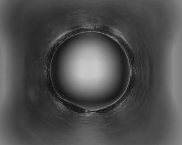 X0000086981304200704161441