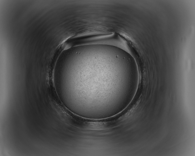 X0000086981305200704161441