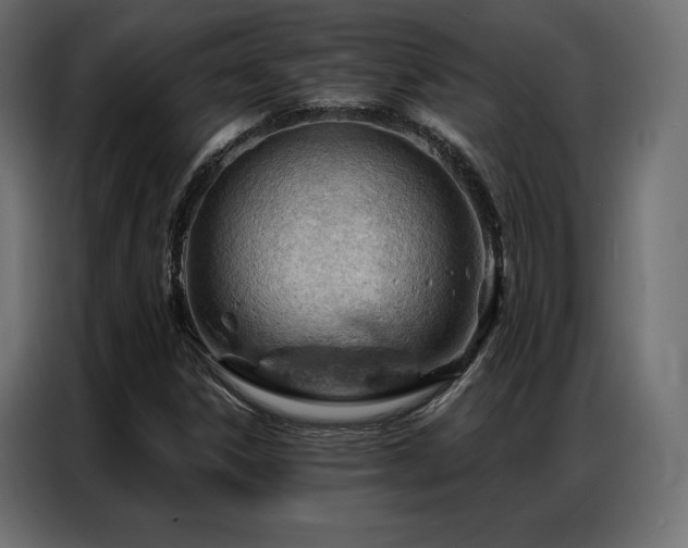 X0000086981306200704161441