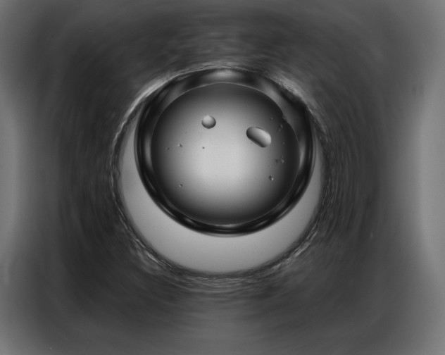 X0000086981308200704161441