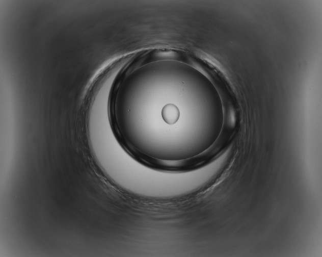 X0000086981310200704161441