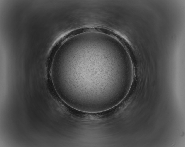X0000086981311200704161441