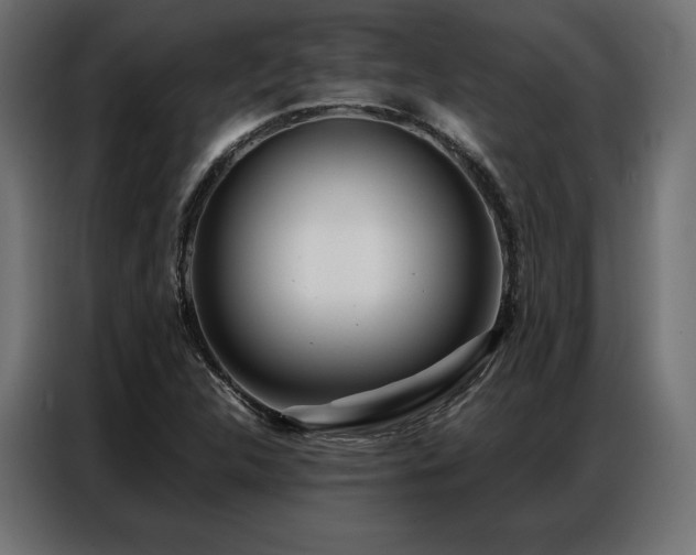 X0000086981312200704161441