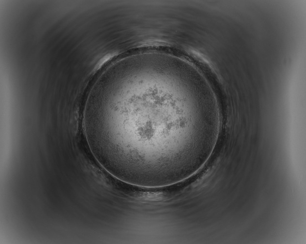 X0000086981313200704161441