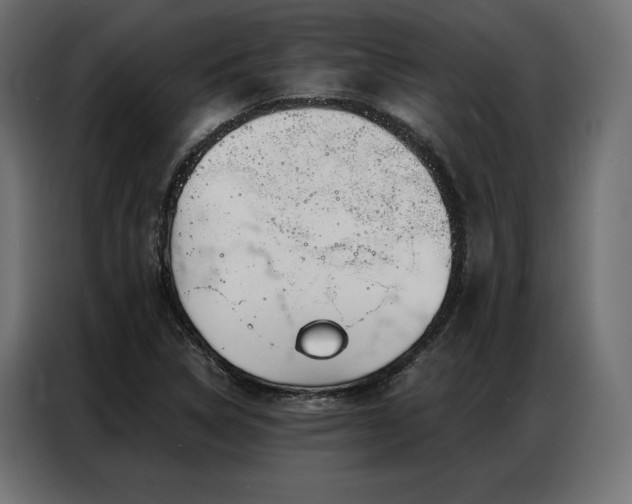 X0000086981314200704161441