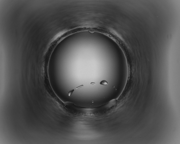 X0000086981315200704161441