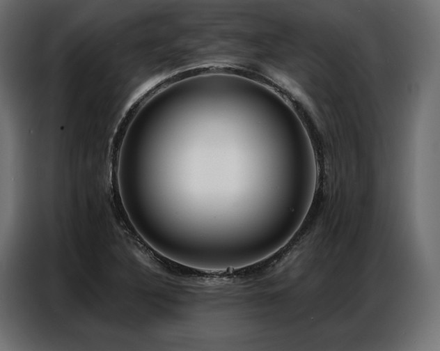 X0000086981316200704161441