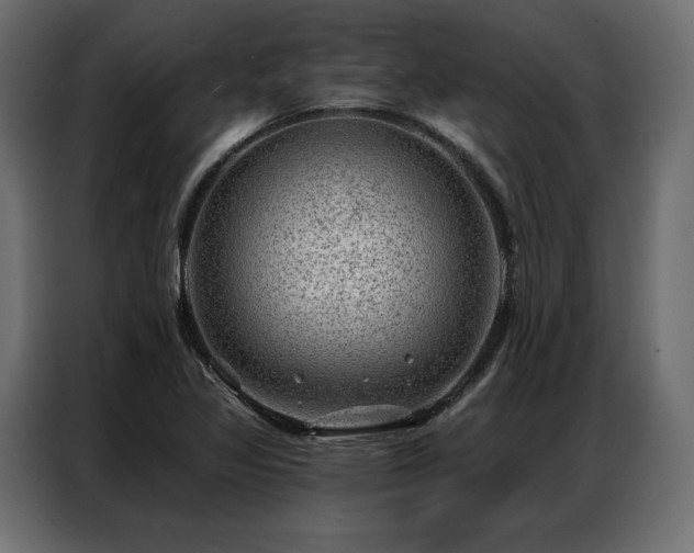 X0000086981317200704161441