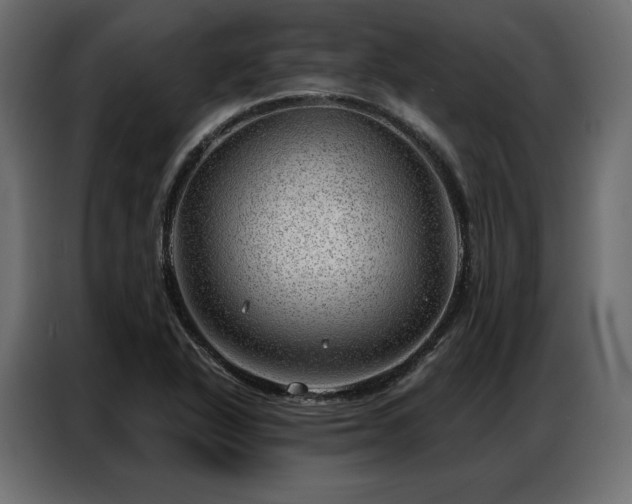 X0000086981318200704161441