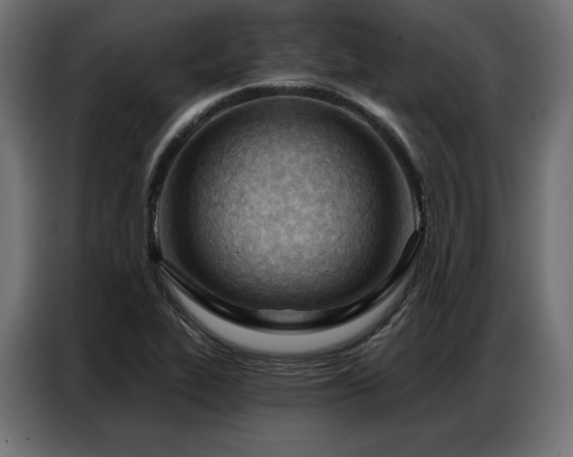 X0000086981319200704161441