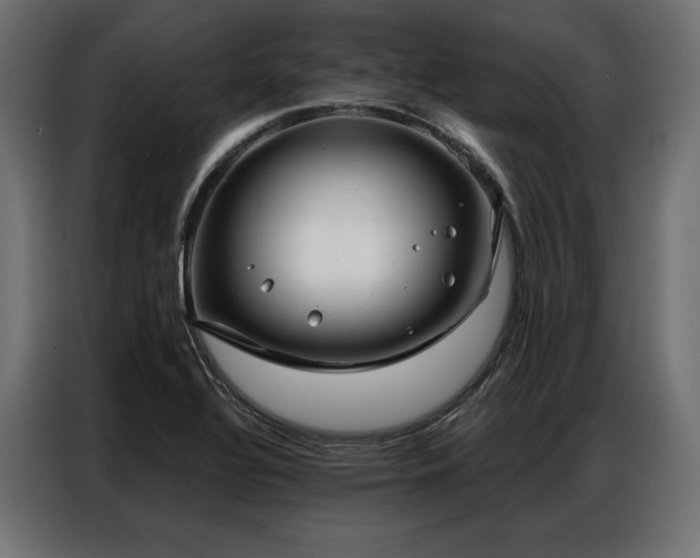 X0000086981320200704161441