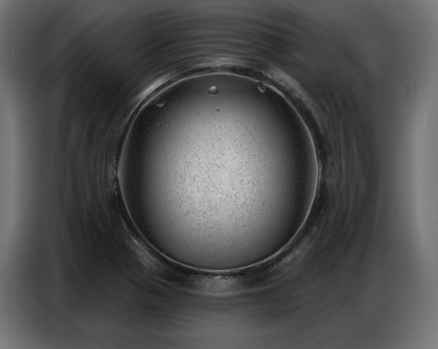 X0000086981321200704161441