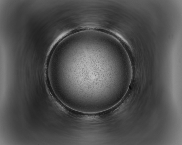X0000086981325200704161441