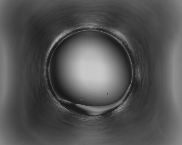 X0000086981326200704161441