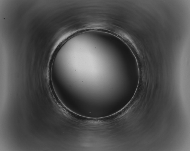 X0000086981328200704161441