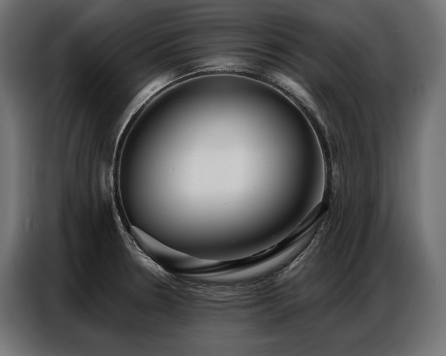 X0000086981330200704161441