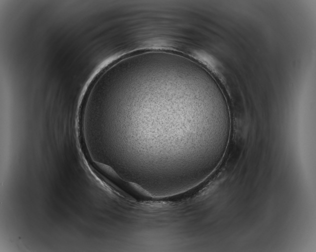 X0000086981331200704161441