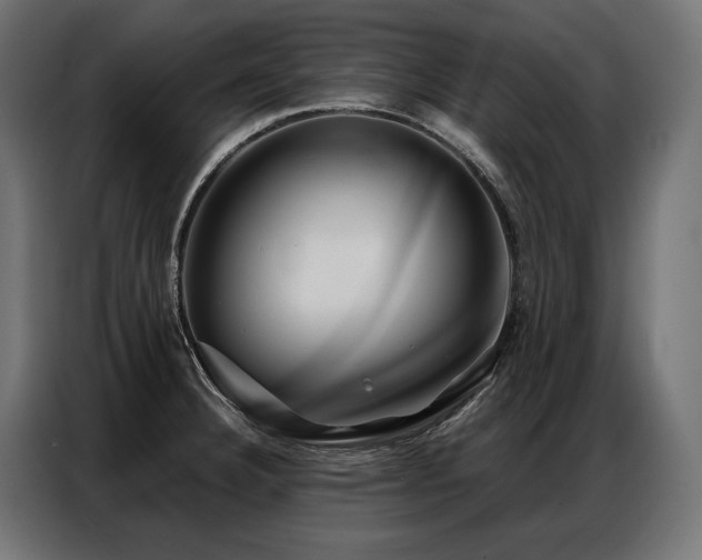 X0000086981332200704161441