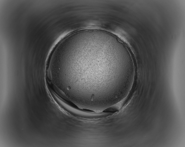 X0000086981333200704161441