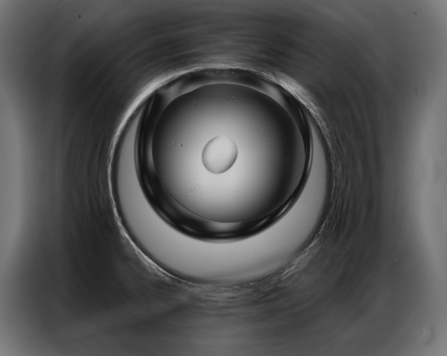 X0000086981334200704161441
