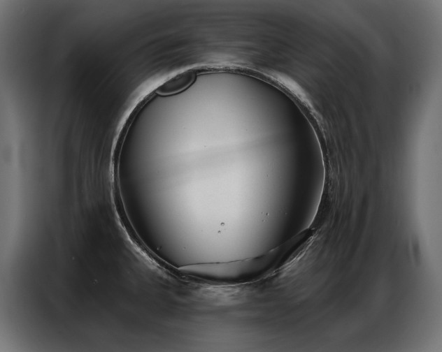 X0000086981335200704161441