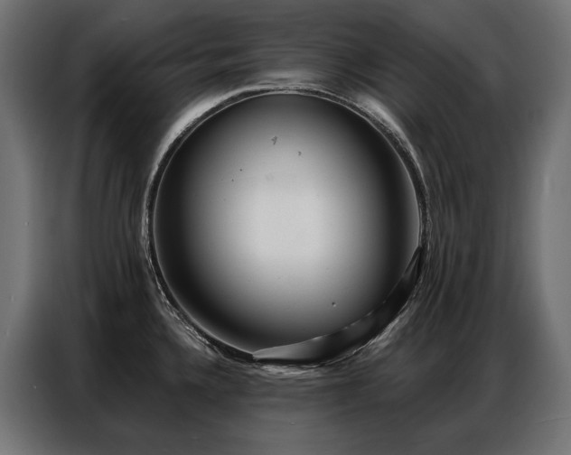 X0000086981336200704161441