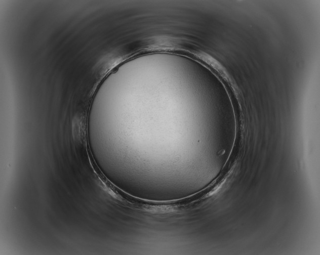 X0000086981337200704161441