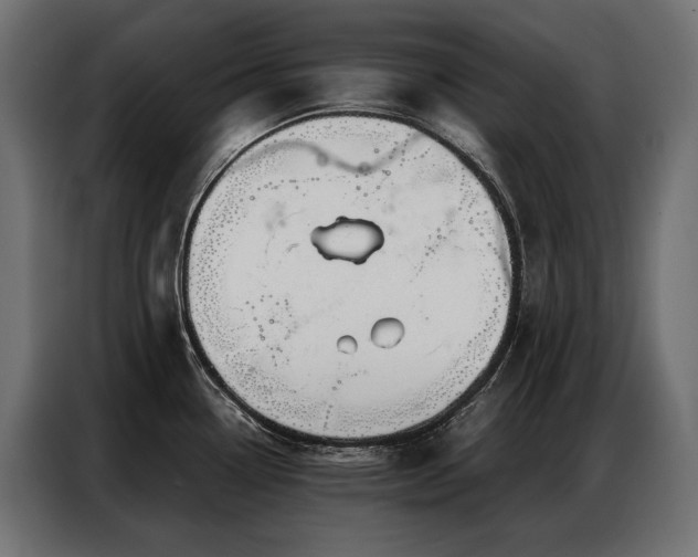 X0000086981338200704161441
