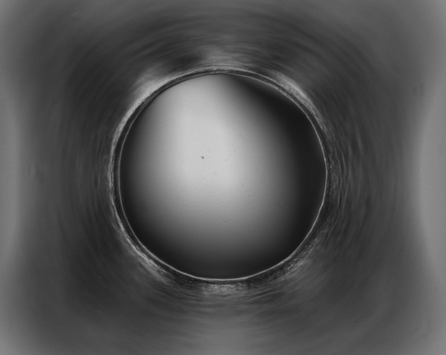 X0000086981339200704161441