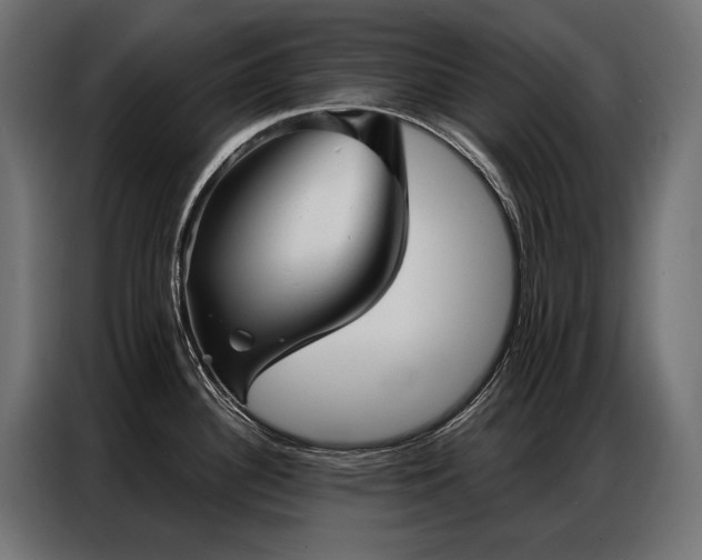 X0000086981340200704161441