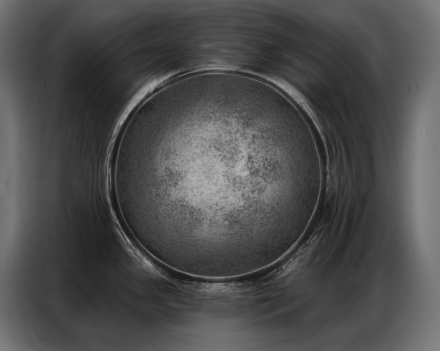 X0000086981341200704161441