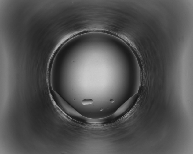 X0000086981342200704161441