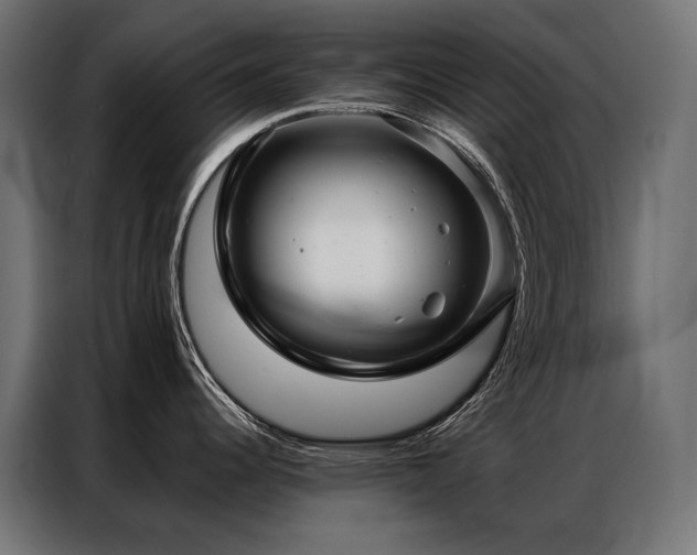 X0000086981344200704161441