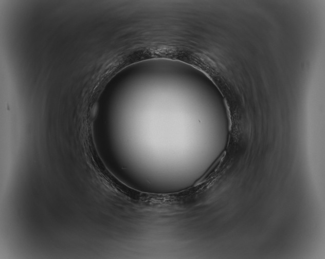 X0000086981345200704161441