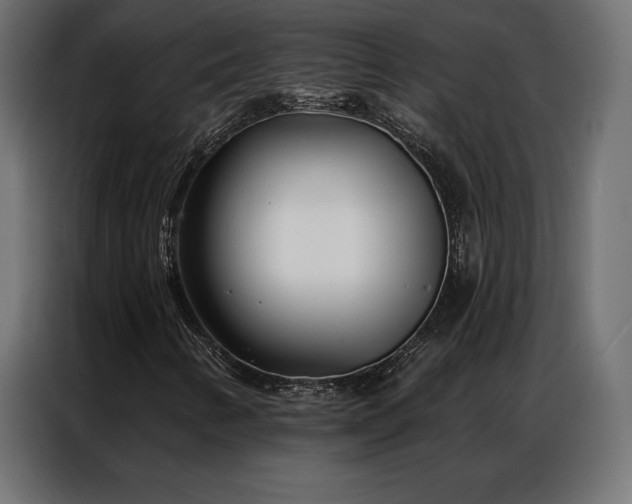 X0000086981346200704161441