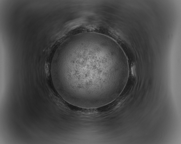 X0000086981347200704161441