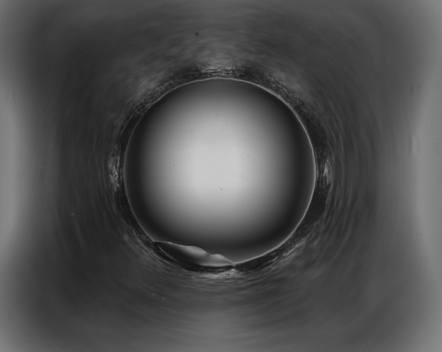 X0000086981348200704161441