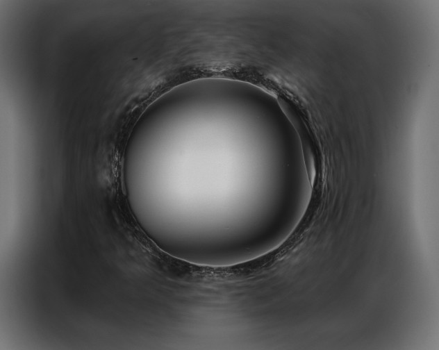 X0000086981349200704161441