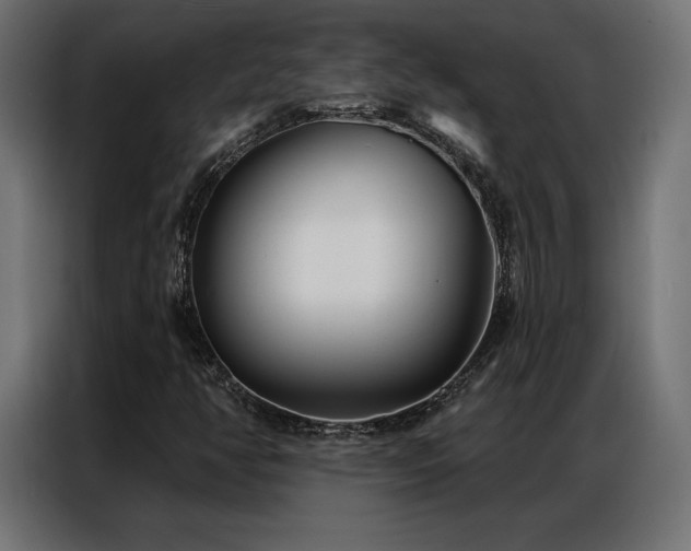 X0000086981350200704161441