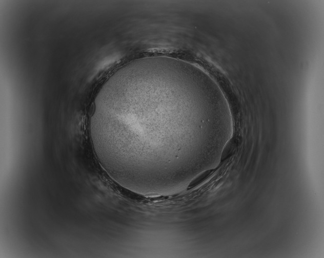 X0000086981351200704161441