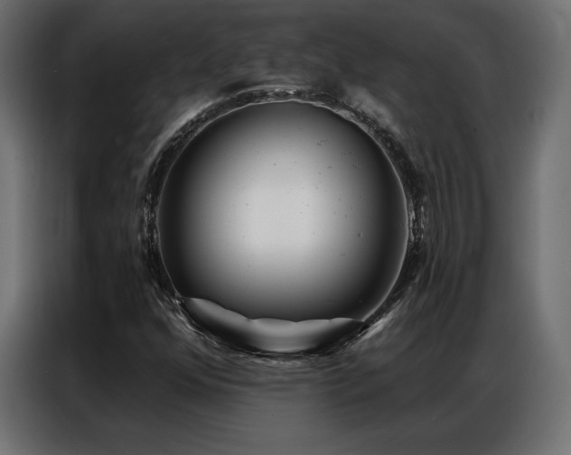 X0000086981352200704161441
