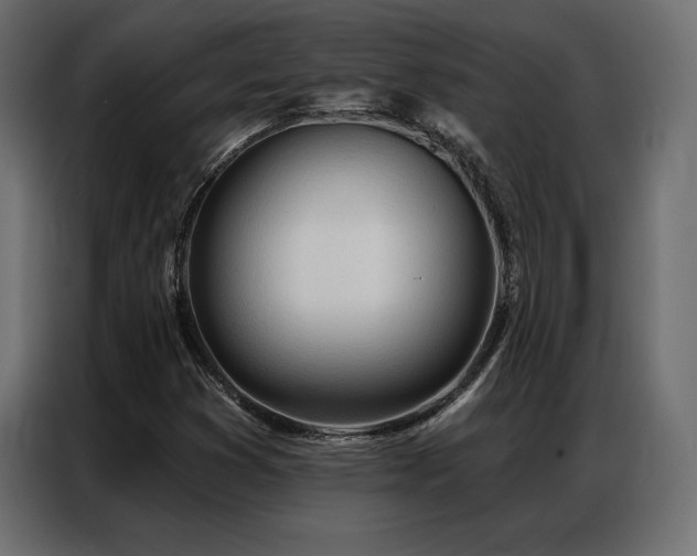 X0000086981353200704161441