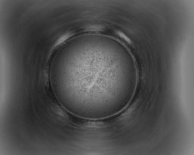 X0000086981354200704161441