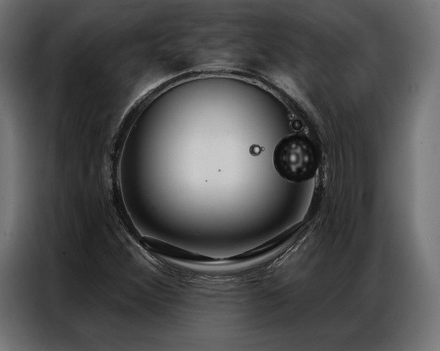 X0000086981356200704161441