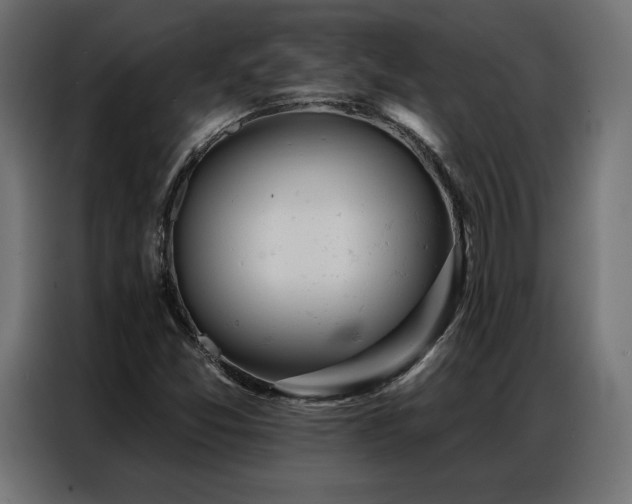 X0000086981357200704161441
